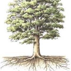 nutrixnutrire's profile picture. Enfermero d/Máster Invest. en Ciencias de la Enfª/Doctorando ciencias de la Salud. Historia de la Ciencia/Comunicación Científica/Invest. Cualitativa