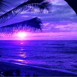 mkaanjala's profile picture. 