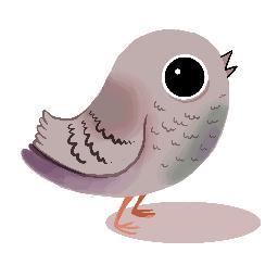 Un Bebe Pigeon Unpetitpigeon Twitter Un Bebe Pigeon Unpetitpigeon Twitter