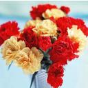 kipkirui - @kip_collins - Twitter