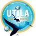 Utila Dive Center (@utiladivecenter) Twitter profile photo