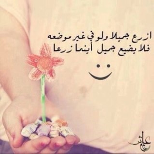 theshell9's profile picture. 