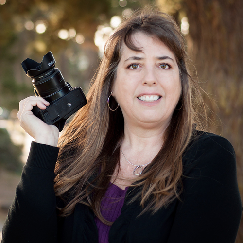 BeechTreePhotog's profile picture. Photography from the heart.