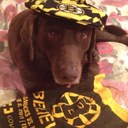 Scott Govoni - @sgovoni - Twitter