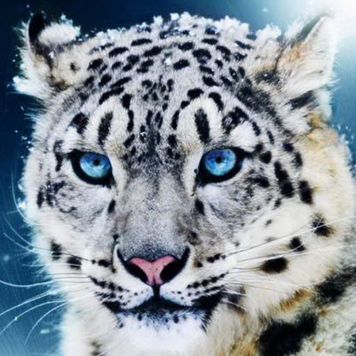 PalTitton's profile picture. 