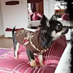 Shayla2013's profile picture. 