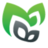 Ligtvoet_Groen's profile image