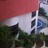 noura_6666's profile image