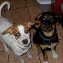 Karla Richardson - @karla_karlyface - Twitter