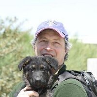 Cliff Wachtel (@fxonlinetrade) 's Twitter Profile