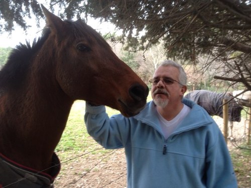 nicetorino's profile picture. 