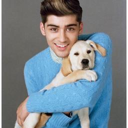 i am 11 and i love 1D and Zayn,Louis,Liam,Hiall,Harry,but hate taylor swift no affence