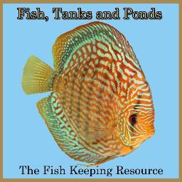 Freelance writer, fishbase collaborator, fish photographer, ex-aquarium trade. I'm interested in all things fish particularly in fish health and fish husbandry.