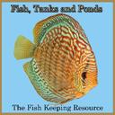 Fish Tanks and Ponds (@FishTanksandPon) Twitter