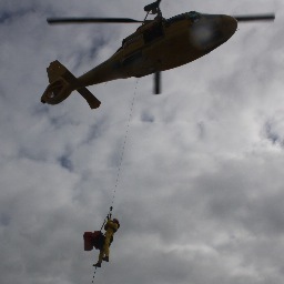 LoodsSoos's profile picture. 