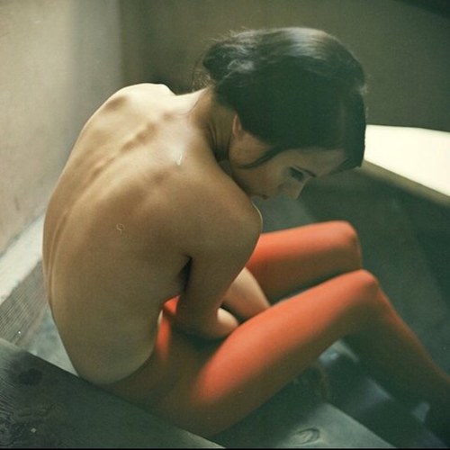 starving_bird's profile picture. Ana and Mia run my life.