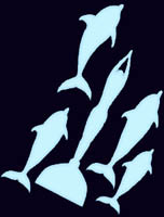 AlexFreediving's profile picture. Freediving - Just one Breath
Erlebe die Unterwasserwelt mit nur einem Atemzug
Freitauchausbildung vom Einsteiger bis zum Profi