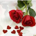 Paula Bod Aguiar - @PaulaBodnarAgui - Twitter