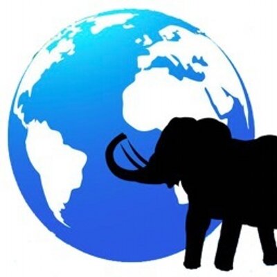 YRNF_Intl's profile image