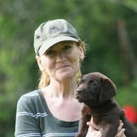 Pippa (@pippamattinson) 's Twitter Profile