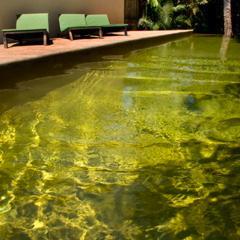 Luxury Villas & Exclusive Boutique Getaways.
