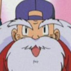 Co-owner of the Pokemon League and sole owner of this amazing beard.