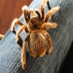 Waslost49's profile picture. 