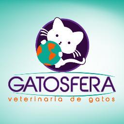 Primera Clínica Veterinaria dedicada exclusivamente a la salud y cuidados de los gatos. Medicina Interna Felina. gatosfera@gmail.com. El Hatillo, 0212-9634410
