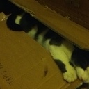 Gomez Julien - @GomezJulien1 - Twitter