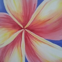 Ella Simone - @Ellaroxs523 - Twitter