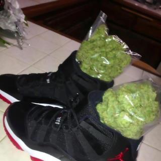 Bigbdabeast1999's profile picture. 