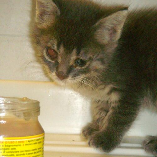 mikel8ge's profile picture. 