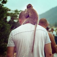 Ildar Shaynurov (@_shir_) 's Twitter Profile
