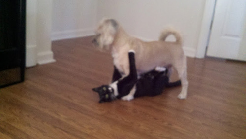 David780512's profile picture. Dad, IT, Air Force