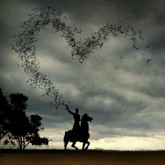 e62537879's profile picture. 