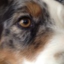 Robert Hardy - @Hardy_Ranch - Twitter