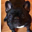 Heather Lamay - @HeatherRut74 - Twitter