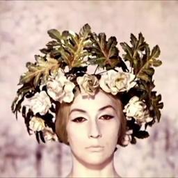 mwahahamusic's profile picture. Label: Plug Research

: booking@leafygreen.com