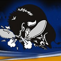 Raging Buffalo (@raging_buffalo) 's Twitter Profile