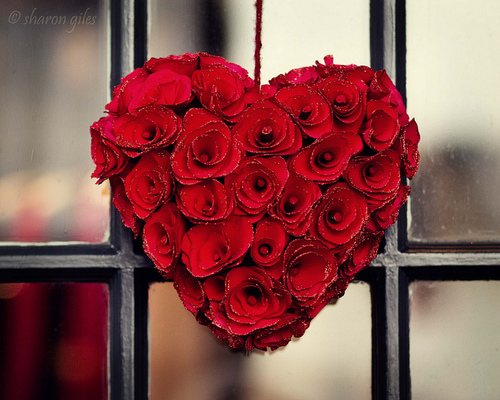  فـــالموتُ آتٍ والنفــوسُ نَفــائِسٌ ... والمسُــتَعز بِمــا لَديْــهِ الأحْــمَقُ