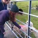 Erin Comer - @erin_comer - Twitter