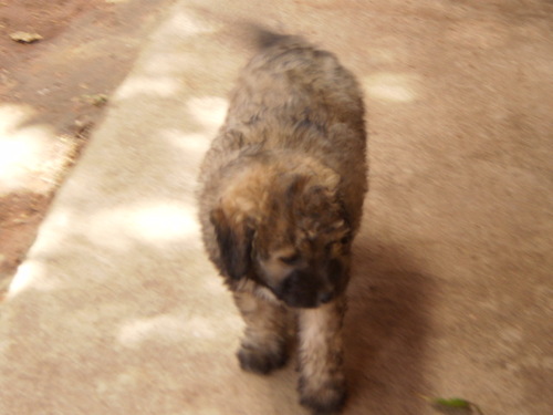 Operação#beta#lab##