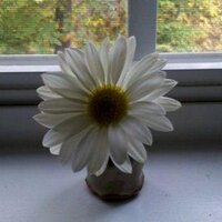 Melanie Cummings (@mlscummings) 's Twitter Profile