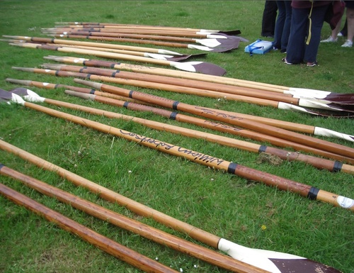 Gigs Might Fly. Gig rowing on the River Dart since 1996.