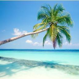 ConciergeRMaya's profile picture. Te ayudamos a organizar tus vacaciones antes de llegar y durante tu estancia te hacemos todas tus reservaciones y ayudamos en lo que te sea necesario.