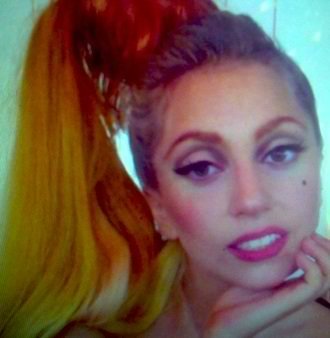 hausofdie's profile picture. 