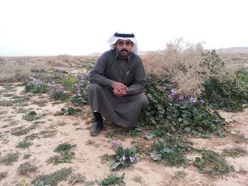 هلاليون واشربوا من البحر
