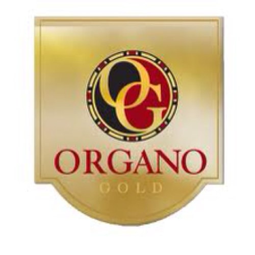 ganodermaOG's profile picture. 