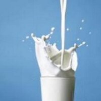 Snowball (@eatprotein) 's Twitter Profile
