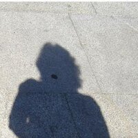 charolalin (@charolalin) 's Twitter Profile